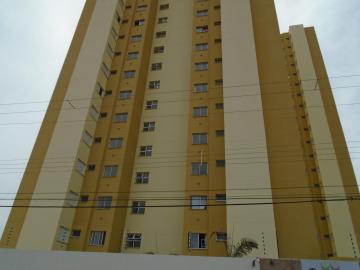 Americana Jardim Santa Eliza Apartamento Locacao R$ 1.000,00 Condominio R$265,78 2 Dormitorios 1 Vaga 