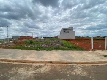 Terreno à venda por R$290.000,00 - Jardim Souza Queiroz - Santa Barbara D`Oeste/SP.
